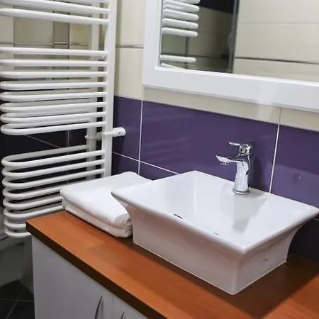 Mirjana Apartment *